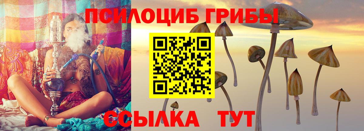 Малгобек  Псилоцибиновые грибы прущие грибы  хочу   Вход с VPN 